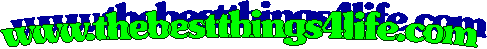 www.thebestthings4life.com